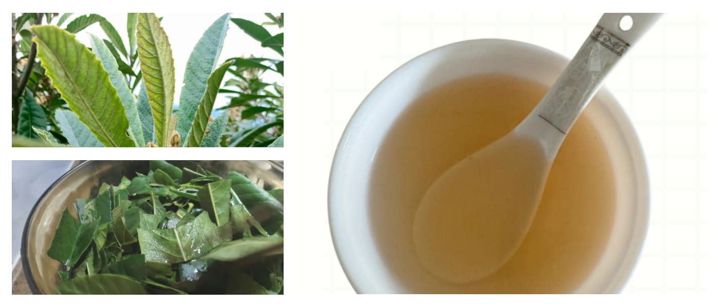 Loquat Leaf Syrup(Pi Pa Ye Syrup,Loquat Syrup,Loquat Leaf Extract Syrup)